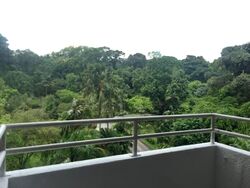 Cavenagh Court (D9), Apartment #534007971